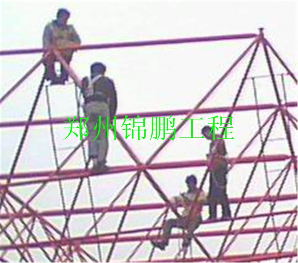豐樂農莊現場